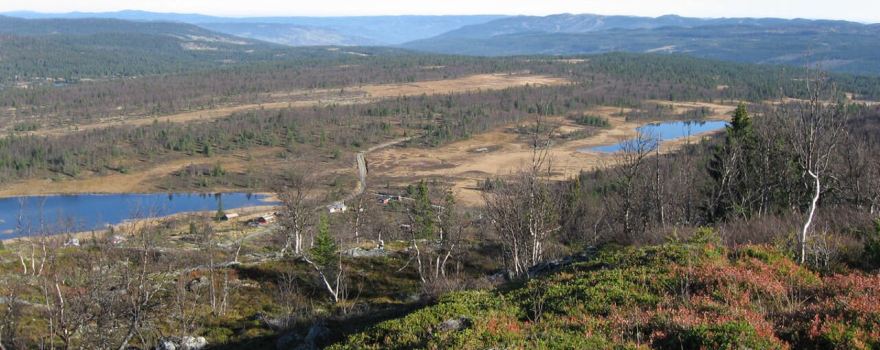 Brusetrunden