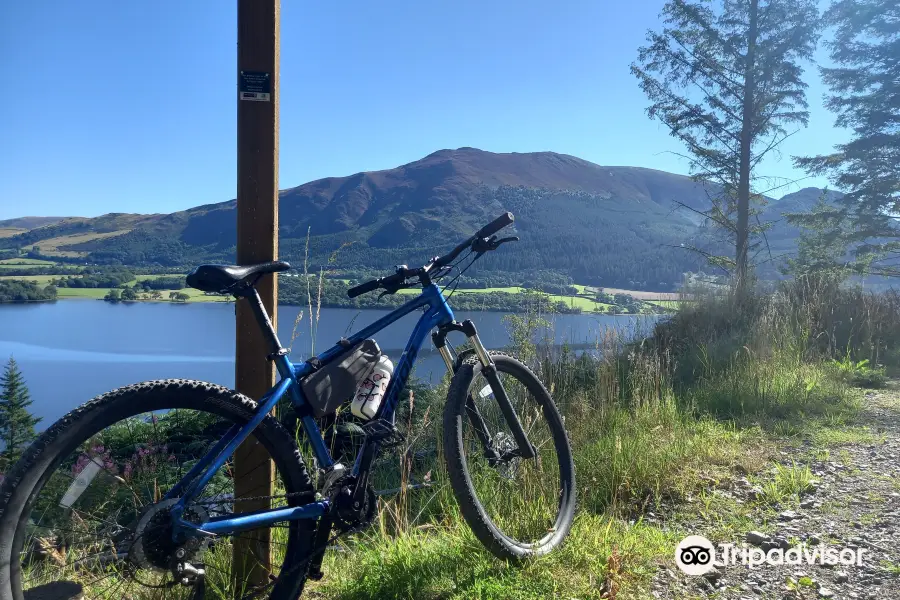 Whinlatter Bikes