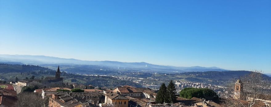 Carducci Gardens