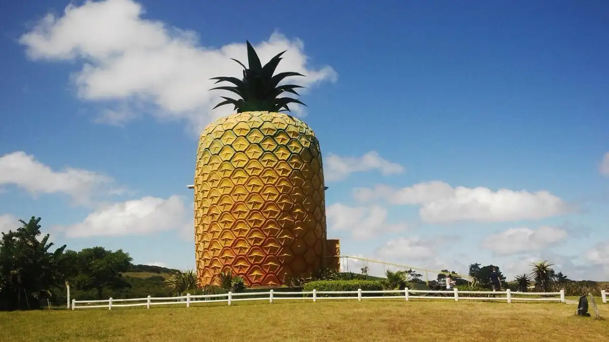 The Big Pineapple