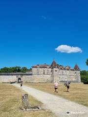 Castle de Cazeneuve