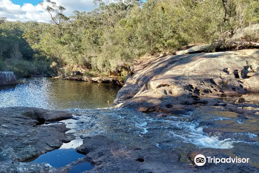 Dharawal National Park