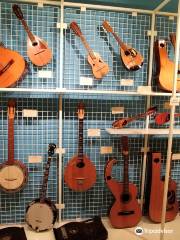 Museo degli strumenti musicali multietnici