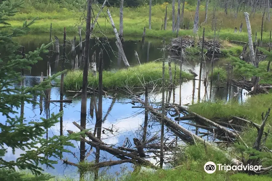 Aroostook National Wildlife Refuge