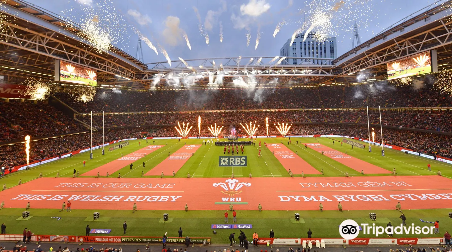 2_Principality Stadium