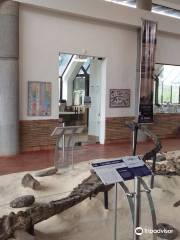 Museo Paleontológico de Villa de Leyva