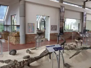 Museo Paleontologico de Villa de Leyva