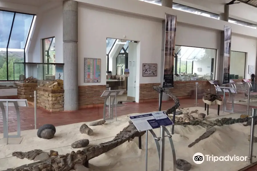 Museo Paleontologico de Villa de Leyva