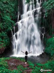Wanagiri Pucak Manik Waterfall