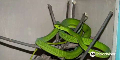 Bio-Ken Snake Farm