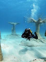 Ocean View Diving,Cyprus