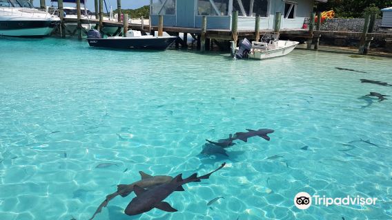 Compass Cay