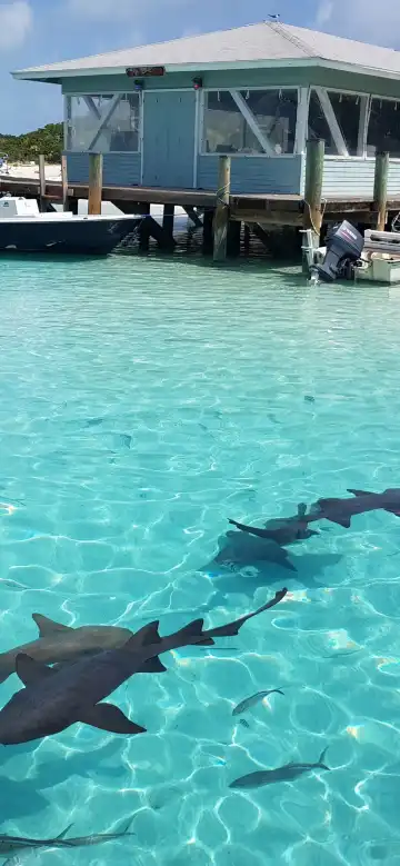 Hotels in Black Point, Bahamas