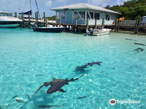 Compass Cay