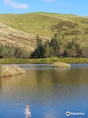 Bwlch Nant yr Arian Forest Visitor Centre