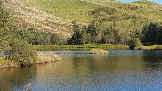 Bwlch Nant yr Arian Forest Visitor Centre