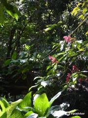 New Ranweli Spice Garden Kandy Sri Lanka