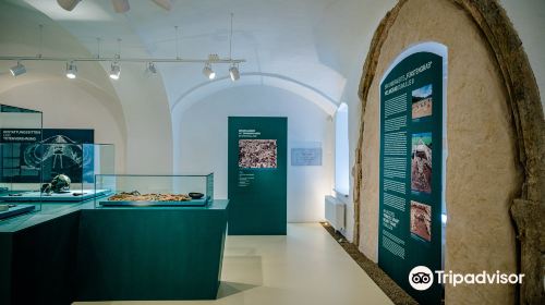 Museum Murtal: Archäologie der Region