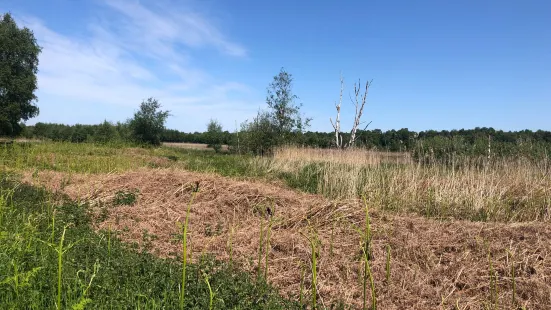 Thorne and Hatfield Moors