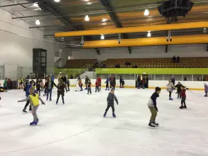 Telford Ice Rink