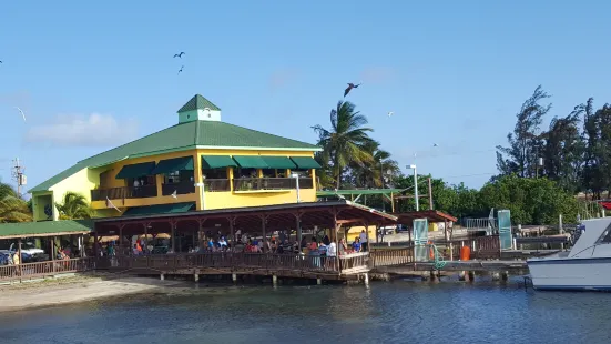 Ponce La Guancha