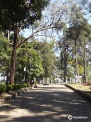Parque Cinquentenario