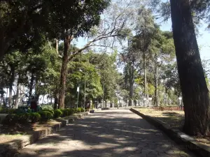 Parque Cinquentenário