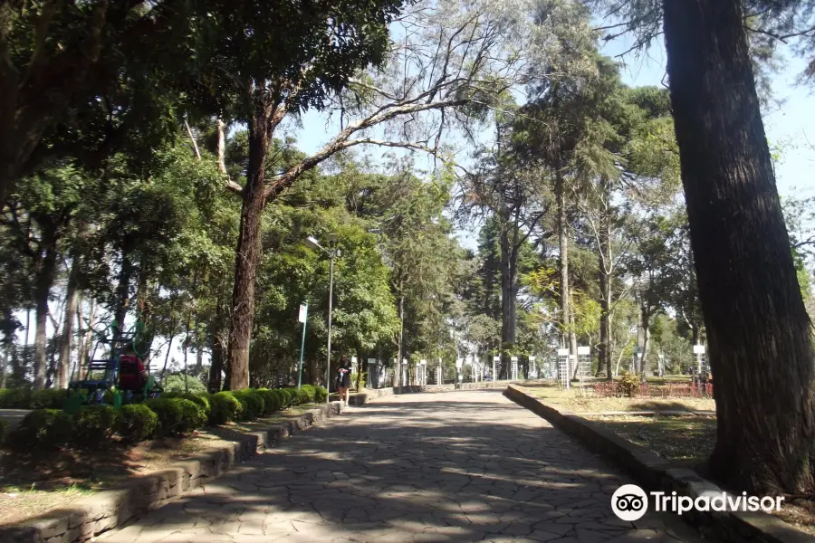 Parque Cinquentenario