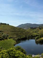 Enjoy Douro