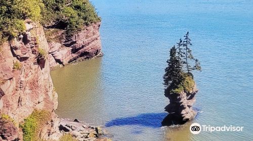 Bay Of Fundy