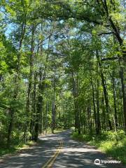 Caddo Lake State Park