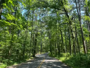 キャドー・レイク州立公園