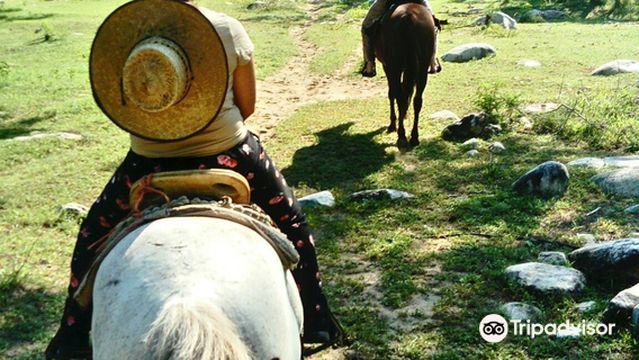 Servicios Ecoturisticos de Manialtepec