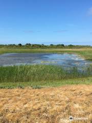 Dune Walk of Authie