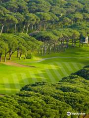 Golf Old Course Cannes Mandelieu