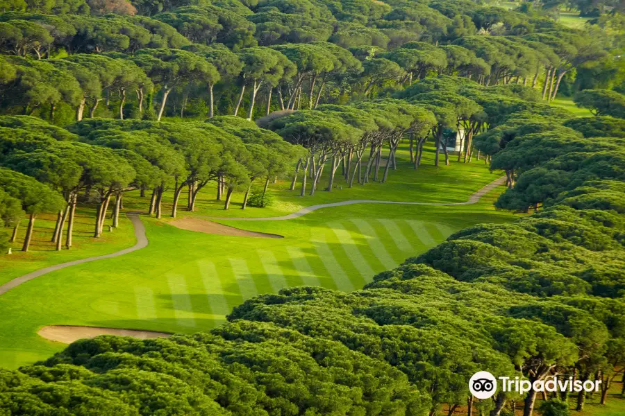 Golf Old Course Cannes Mandelieu
