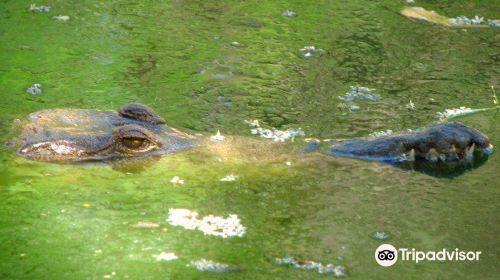 Malcolm Douglas Broome Crocodile Park