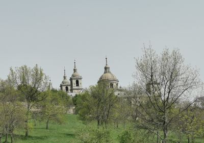 Bosque de la Herreria