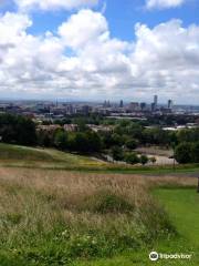 Everton Park, Liverpool