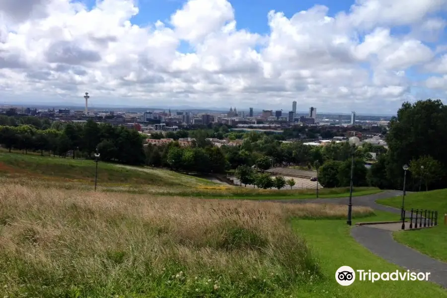 Everton Park, Liverpool