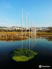 Parque Urbano de Vale de Cambra