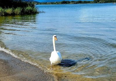 Spiaggia Camping Lago Azzurro