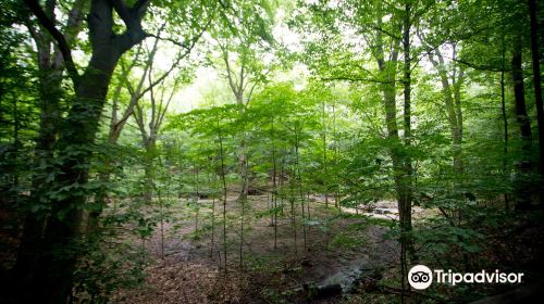 Blandford Nature Center