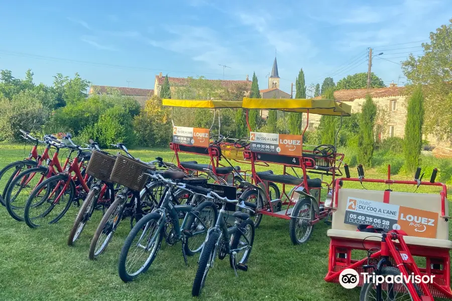 Du coq a l'ane : Asinerie et Savonnerie du Marais Poitevin