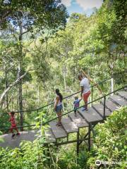 Ebony Forest Reserve Chamarel