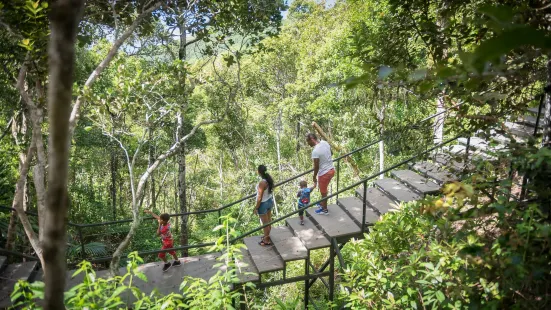 Ebony Forest Reserve Chamarel