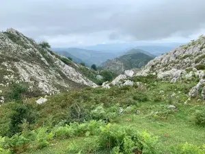 Mirador de la Reina