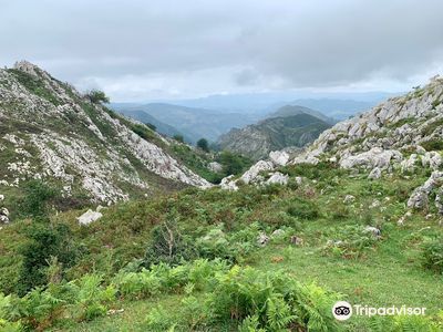 Mirador de la Reina