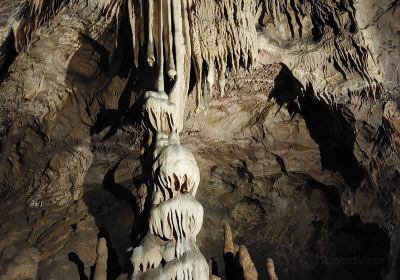 보르쇼드 어버우이 젬플렌 주