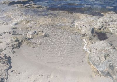 Playa de Ses Salines